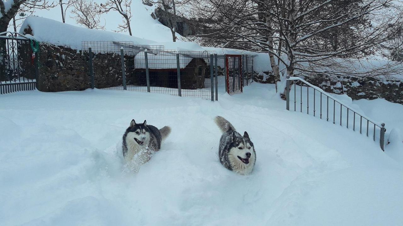 Posada El Rincon De Babia La Cueta Екстериор снимка